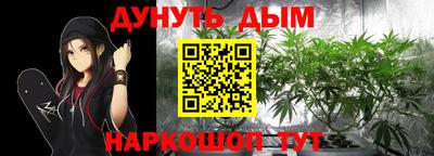 индика Будённовск