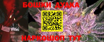 индика Будённовск