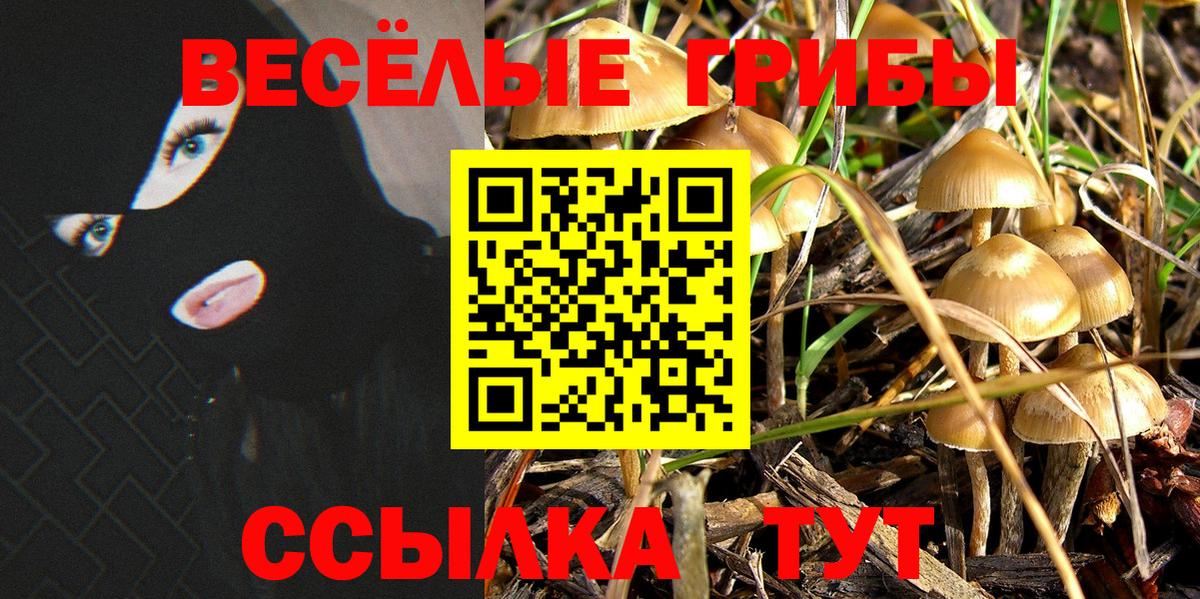 цены наркотик  Вход с VPN  Янаул  Галлюциногенные грибы Psilocybe 